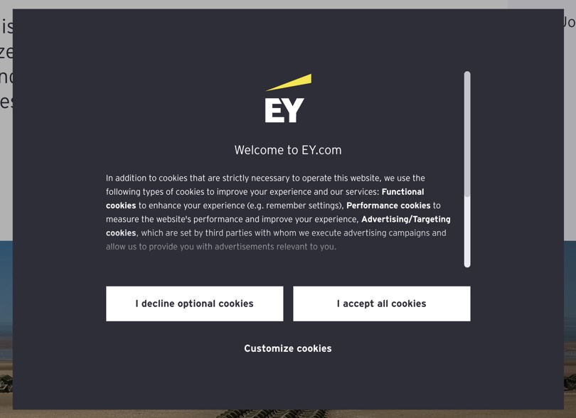 Cookie banner example from EY website