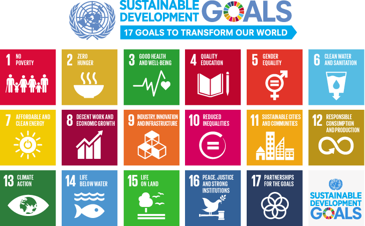 The Sustainable Development Goals: 17 Goals to Transform Our World.