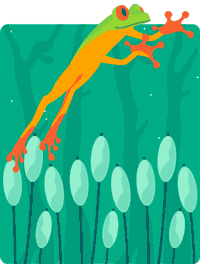 Illustration of a frog jumping in slow-motion