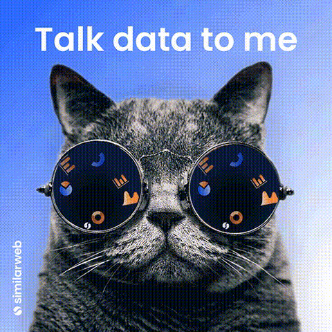GIF de um gato de óculos escuros com gráficos a moverem-se que diz “Fala de dados comigo”.